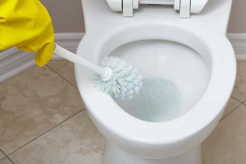Clean the toilet - Thrive Interior Design Clean the toilet